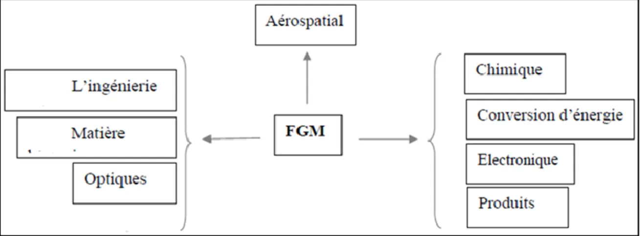 Figure 1.7 : Les principaux domaines d’application des FGM.