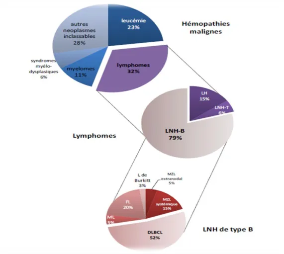 Figure 06 : Répartitions des différents types de lymphomes parmi les hémopathies  Malignes (Smith et al., 2010)