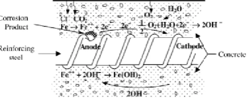 Figure I-11 - Illustration schématique de la corrosion des armatures dans le béton comme  un processus électrochimique [Ahmad, 2003 ; Houst, 1989 ; Gulikers, 2005]