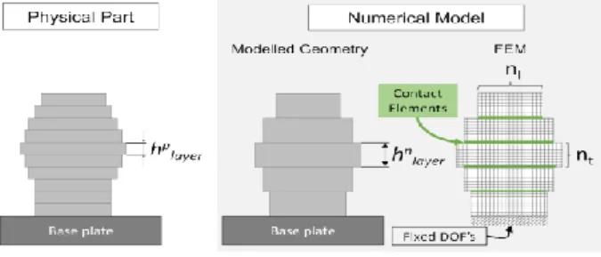 Fig. 3. Numerical model formulation. 