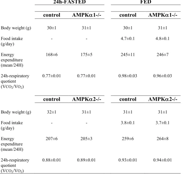 Table 2: Body weight, food intake, 24h-respiratory quotient and energy expenditure in  AMPKα 1-/- and AMPKα 2-/- mice during fasted and fed periods.