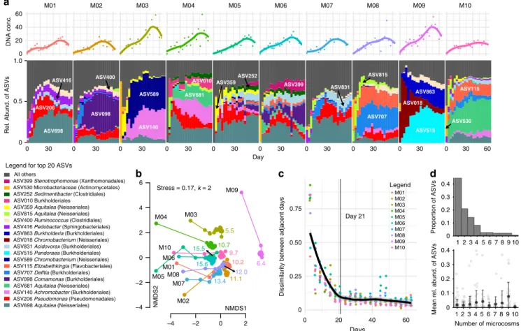 Fig. 1 Microcosm communities approach distinct equilibria. a Relative abundances of the top 20 Amplicon Sequence Variants (ASVs) across the ten microcosms during the course of the serial transfer experiment