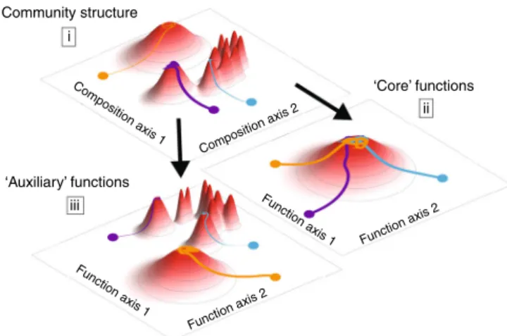 Fig. 5 Functional convergence depends on the type of function.