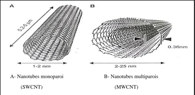 Figure I.6 : Deux types de nanotubes de carbone, SWCNT et MWCNT. 