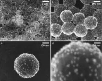 Figure  1.  SEM  images  of  several  (a  and  b)  and  single  (c  and  d)  PS22 nanoplastics labelled with AuNPs@gel  
