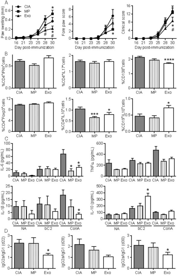 Figure 6. Exos are efficient immunosuppressive agents in CIA by decreasing plasmablast differentiation and generating Breg cells