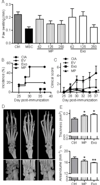 Figure 5. MPs and Exos  suppress inflammation in the DTH and CIA  models. (A) Inhibition of inflammation in the Delayed-Type  Hypersensitivity (DTH) model with increasing doses of MPs or Exos from  IFN-γ primed MSCs, as measured by swelling of hind paws at