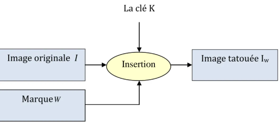 Figure 1.4 : Schéma général de l’insertion d’une marque. 