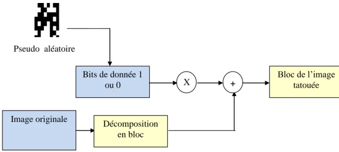 Figure 1.16: Phase d’insertion simple. 