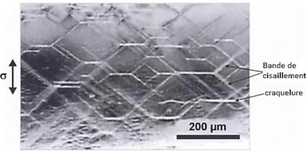 Figure I.8 : Synergie entre les deux mécanismes dans un échantillon de P.E.T [9]. 