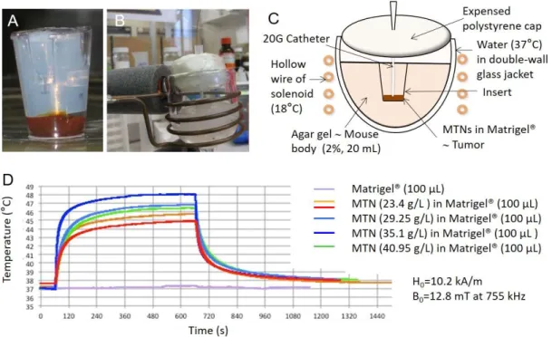 Figure 1. Heating performances of MTNs in a bio-inspired phantom. (A) Phantoms were made of 100  µL  Matrigel™  containing  magneto-activatable  thermogenic  nanoparticles  (MTNs)  at  different  concentrations and poured into a cell culture insert (24 wel