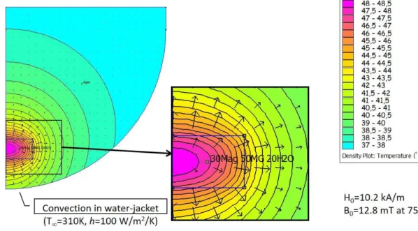 Figure 2. Numerical modeling of thermal distribution in the Matrigel™ phantom with 3709 nodes  using finite element modeling for magnetics (FEMM) freeware (http://www.femm.info/)