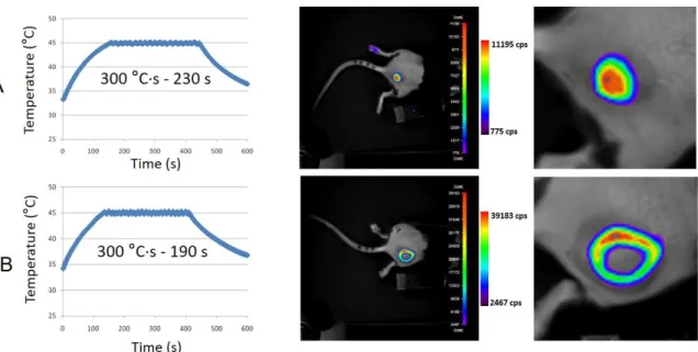 Figure  4.  Imaging  of  heat-induced  expression  of  luciferase  by  magnetic  activation  of  Matrigel™ 