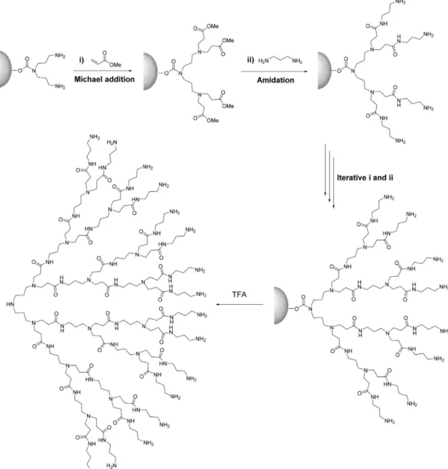 Fig. 13. Solid-phase synthesis of PAMAM dendrimers via iterative Michael addition and amidation [70]