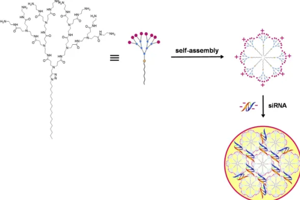Fig. 17. Self-assembled supramolecular PAMAM dendrimers for drug delivery by physical encapsulation of drug molecules within the interior [75]
