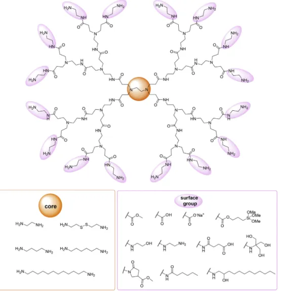 Fig. 7. Commercially available PAMAM dendrimers with different cores and terminal functions [51e54]