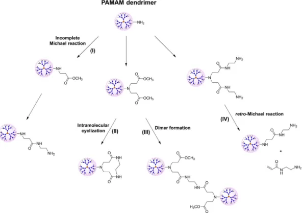 Fig. 9. HPLC chromatogram of as-received PAMAM dendrimer of generation 5 from a commercial source [56]