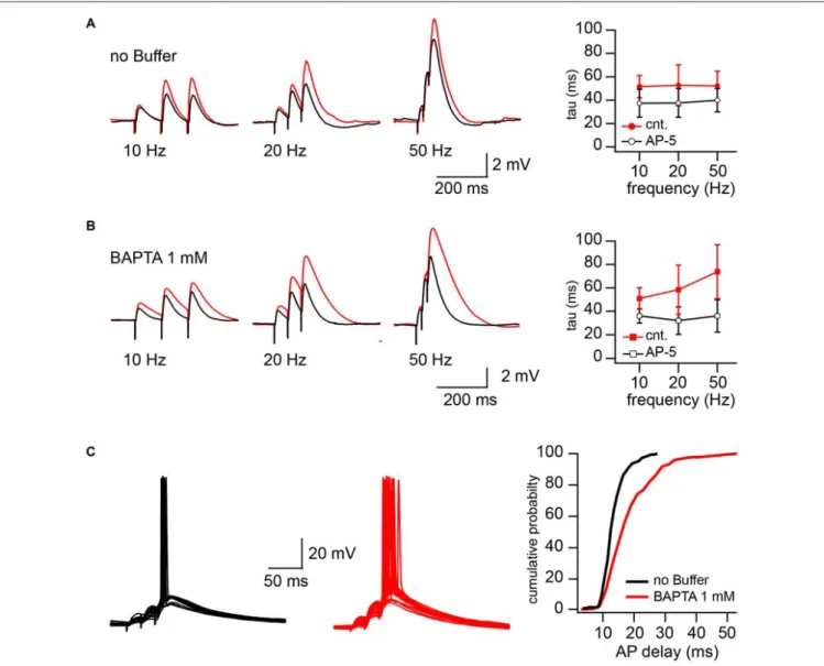 FIGURE 4 | CIIN significantly accelerates decay of EPSPs and shortens the time window for action potential (AP) generation