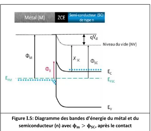 Figure I.5: Diagramme des bandes d’énergie du métal et du  semiconducteur (n) avec  