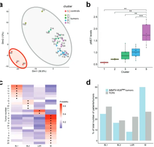 Figure 2. Machine learning processing of RPPA data from tumors (n = 24) and control (n = 3) illustrates that the MMTV-R26 Met model faithfully recapitulates intertumoral heterogeneity of human TNBC