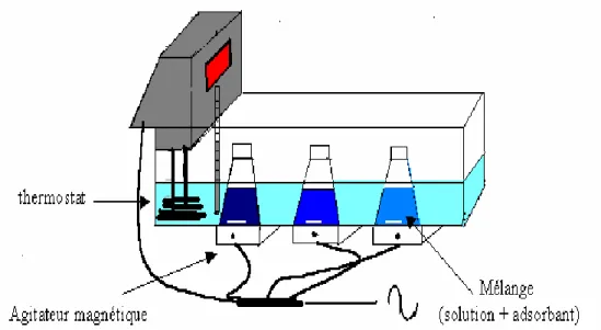 Figure IV.1: Dispositif expérimental de l'adsorption de Pb 2+  en régime statique. 