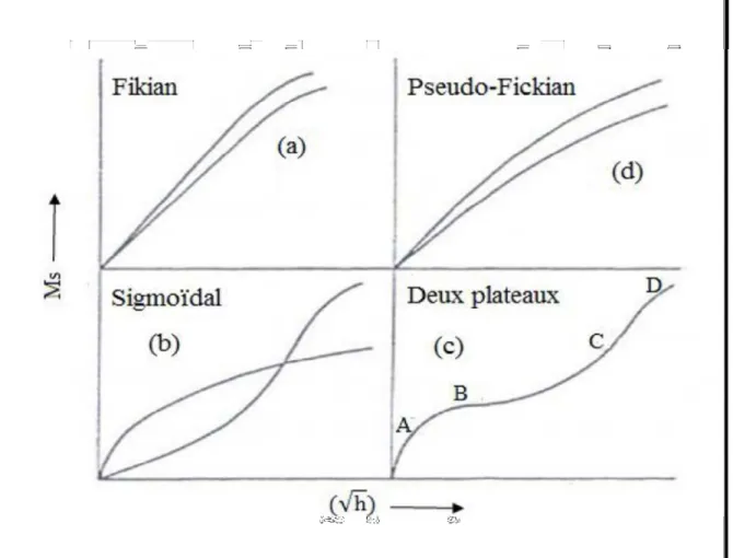 Figure II-10 : Courbes de diffusion non Fickienne comparées à une courbe de diffusion  Fickienne 