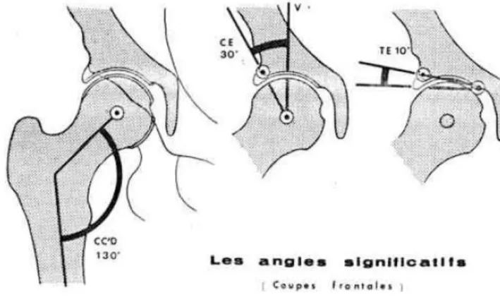 Fig. 4 les orientations des pièces osseuses 