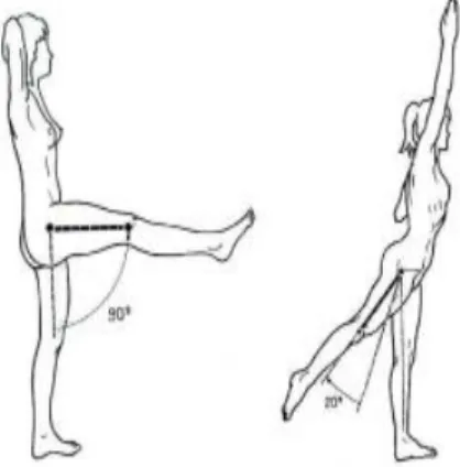 Fig 6 l’extension et la flexion 