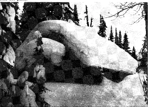 Fig.  9.  Exan~ple of  deep  snow  accu~nulation (absence  of  slide-off)  on  steep  wood  shingle  roof  (38')  in  sheltered  location  in  Glacier,  B.C
