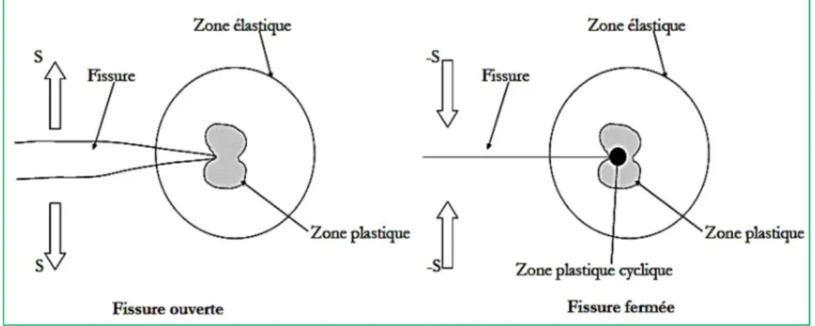 Figure 1-14. Schématisation des zones de déformation en avant de la fissure. 
