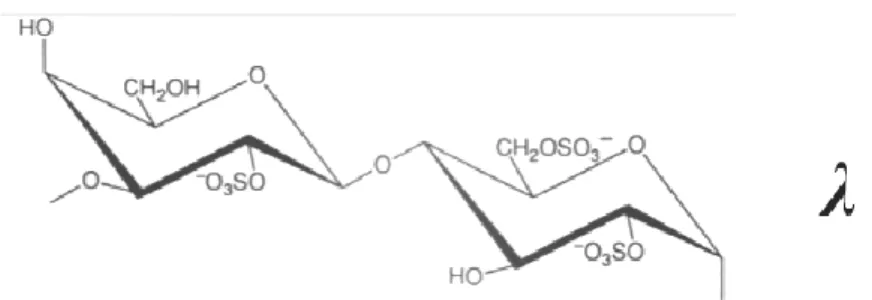 Figure 3 : Structures de κ, ι et λ carraghénane. 