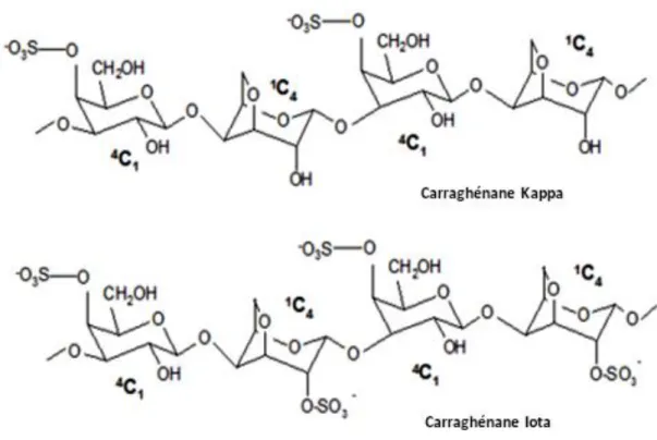 Figure 8 : Structure de base des carraghénanes produisant des gels. 