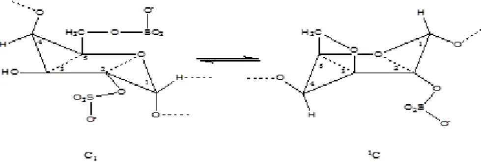 Figure 10 :   Mécanisme de gélification des carraghénanes κ et ι sous l’effet de la température