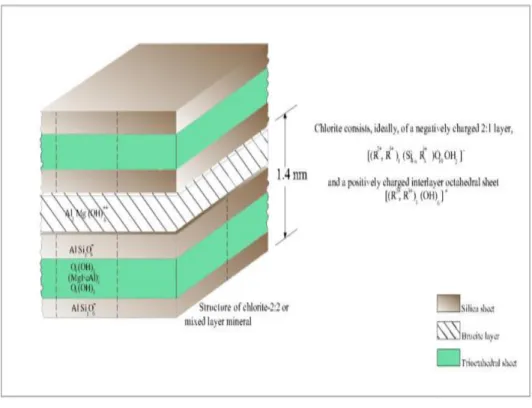 Figure I.7 : Représentation du chlorite [28]. 