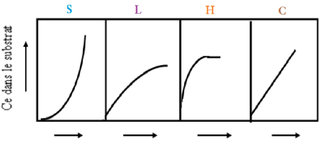 Figure I.13 : Classification des isothermes d’adsorption  [92]. 