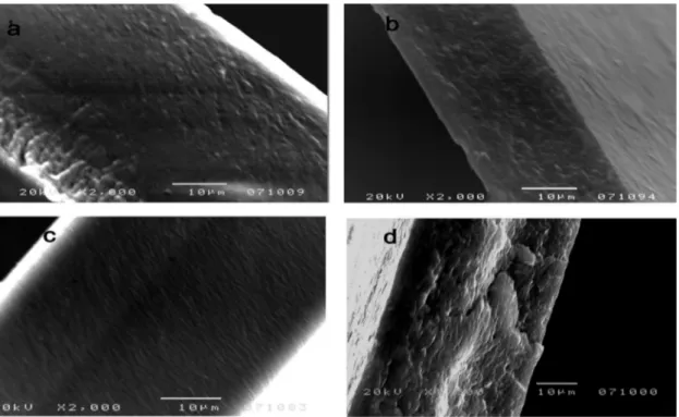 Figure 10. SEM images of PVDF/CNW composite membranes (a): surface; (b): cross-section; (c): 