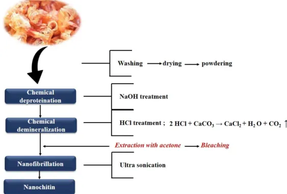 Figure 3. General protocol for extracting chitin nanofibers from prawn shells by using ultra- ultra-sonication