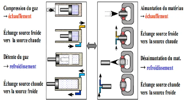 Figure 1.4 : Analogie entre le cycle de la réfrigération conventionnel et le cycle  de la réfrigération magnétique (Allab, 2008)