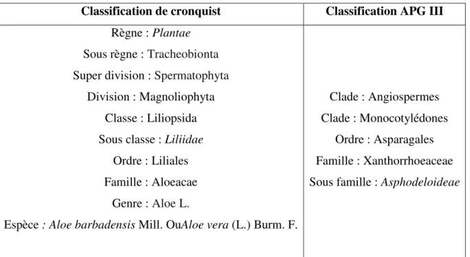 Tableau  1.  Synthèse  des  deux  principales  classifications  botaniques  utilisées  aujourd’hui  (APG III, 2009; Sánchez-Machado et al., 2017)