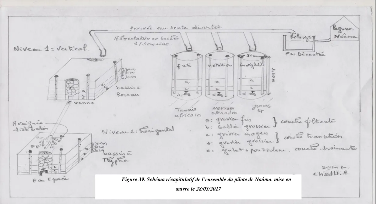 Figure 39. Schéma récapitulatif de l’ensemble du pilote de Naâma. mise en  œuvre le 28/03/2017 