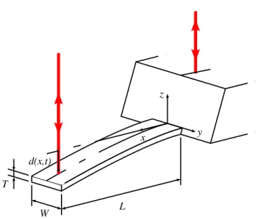 Figure 1: The thermal fluctuations of deflection d(x, t) of a rectangular cantilever (BS-Cont-GB-G) are measured with a differential interferometer : the optical path difference between the reference beam, reflecting on the chip holding the cantilever, and