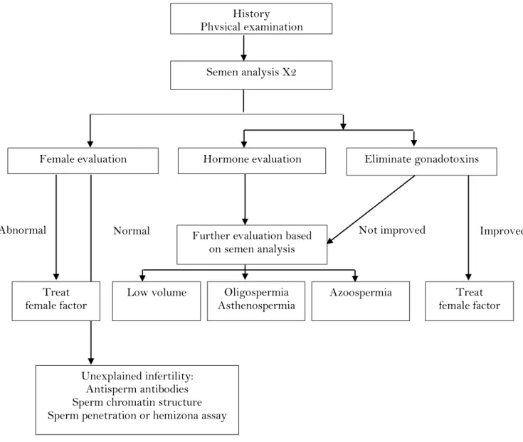 Figure 1.9: General Algorithm for diagnostic evaluation of male infertility (Turek, 2005)  1.2.3.2  Basic semen analysis 