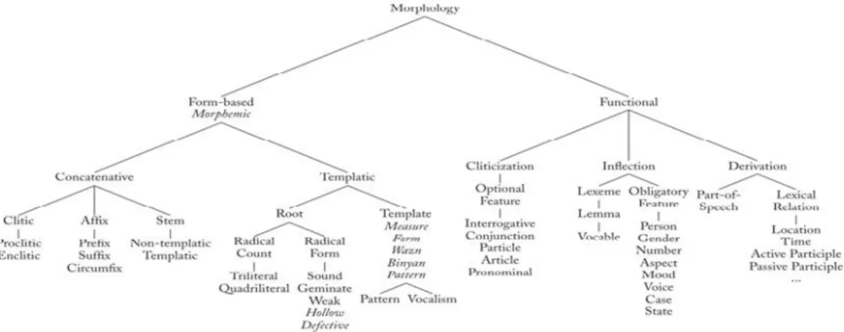 Figure 11: Graphe des relations morphologiques