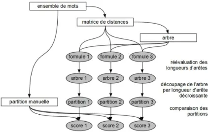 Figure 3 : Méthodologie d'évaluation des formules de calcul de longueur des  arêtes de l'arbre.