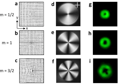 Fig. 2. Design and characterization of azimuthally varying half-wave plate retarders of azimuthal order m = 1/2 (upper row), 1 (middle row) and 3/2 (bottom row) used in this work, with 532 nm operating wavelength