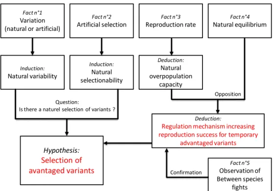 Figure 1-1. The  reasoning proposed  by  Charles Darwin in  ‘The  origin  of species’