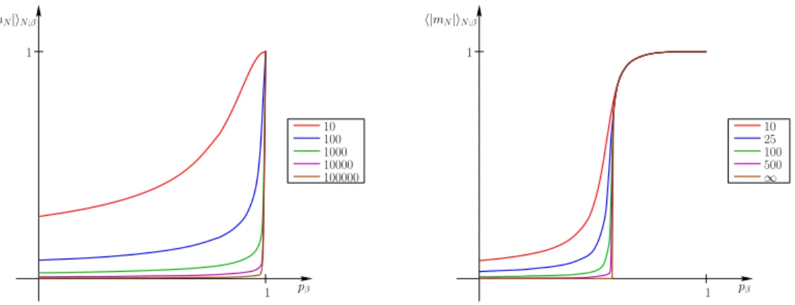 Fig. 1.5 – Esp´erance de | m N ;β | en fonction de p β pour le mod`ele d’Ising en dimension 1 (gauche) et 2 (droite) avec condition au bord p´eriodique, pour diff´erentes valeurs de N.