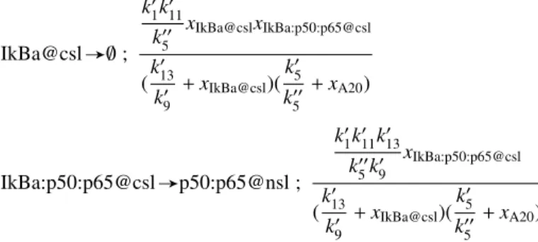 Figure 13: Reactions of the NF-B network after applying the simplification from [20].