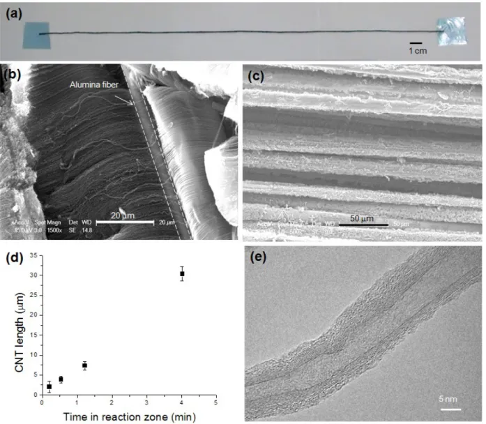 Figure 2.  VACNT grown continuously on fiber substrates. (a) CNT grown on long alumina fibers conveyed at 2.5 cm/min