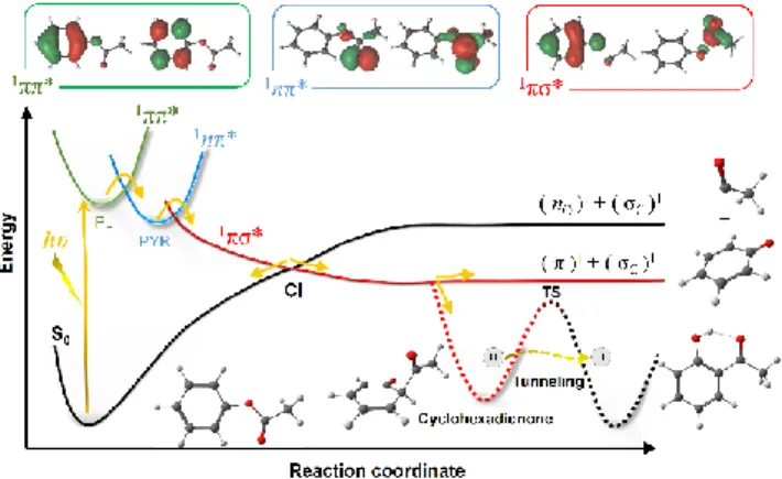 Figure  1.  Schematic  overview  of  the  three-state  model  for  PFR  applied  to  PA